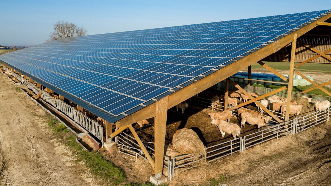 Freilaufstall für Rinder mit Photovoltaikanlage am Dach